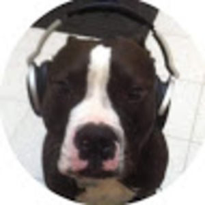 Meet your Posher, Josh